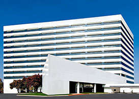 Lone Star Corporate Office